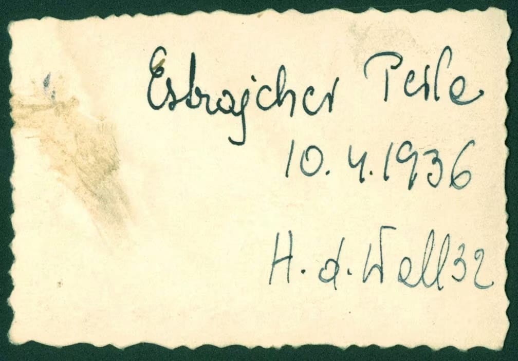Perla Estrajcher Back