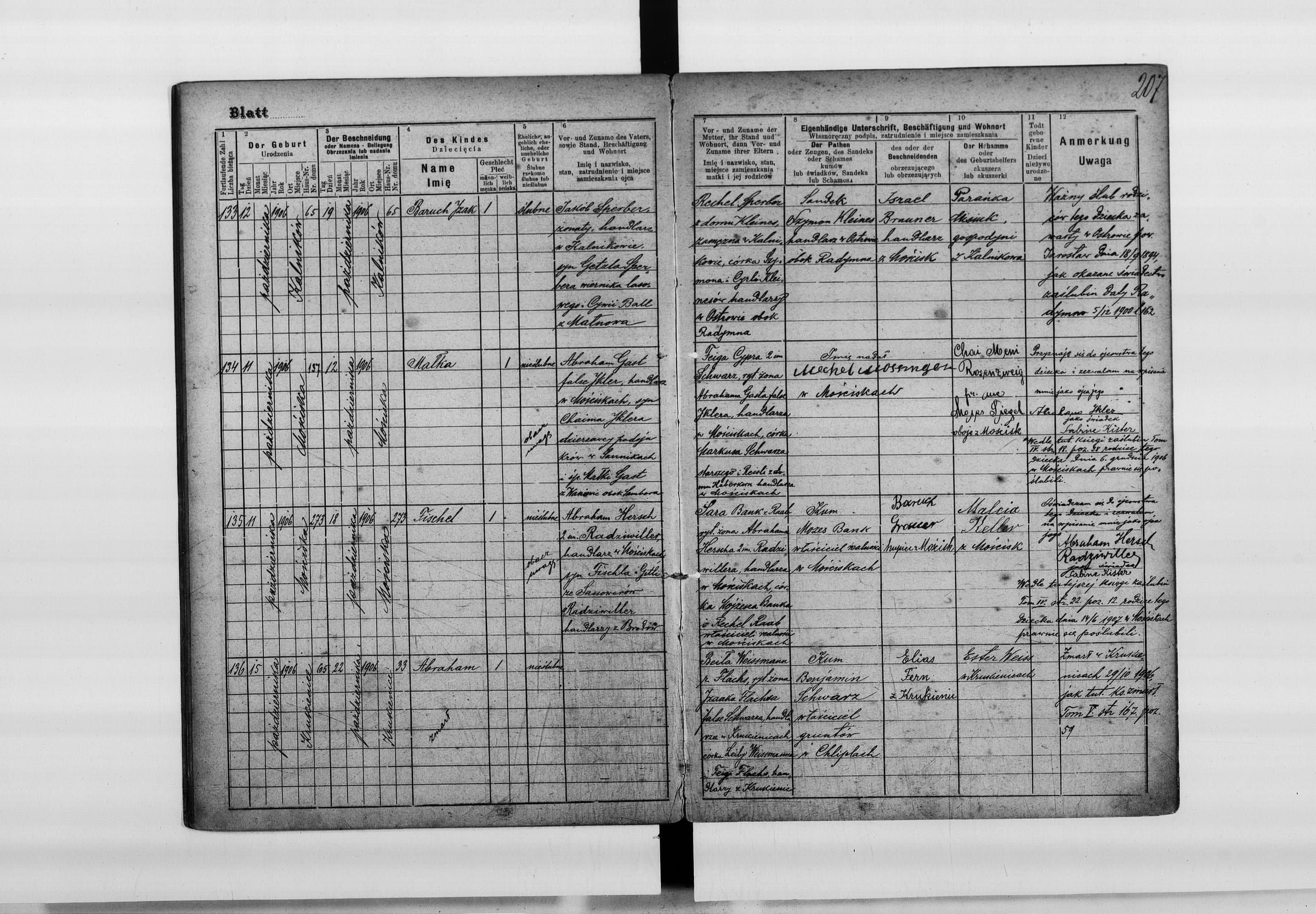 Birth record